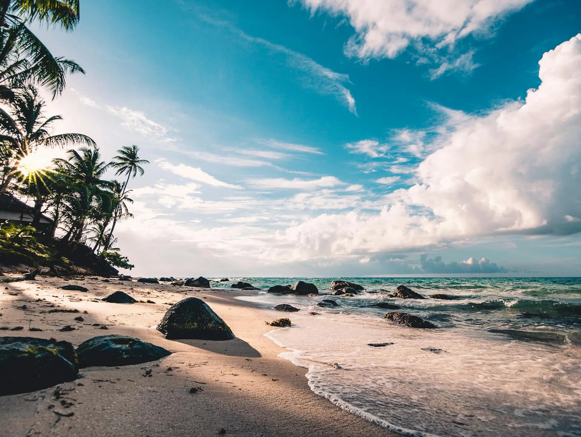 Beach Paradise